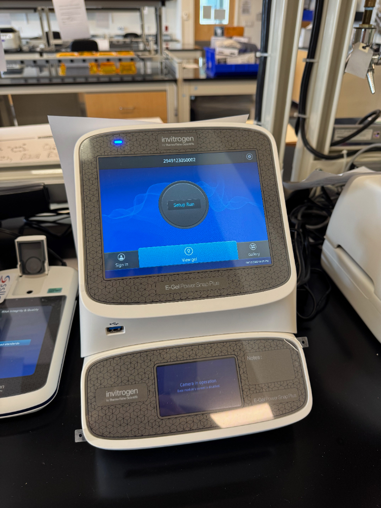 Image of Invitrogen E-Gel Power Snap Plus Electrophoresis System w/ Camera